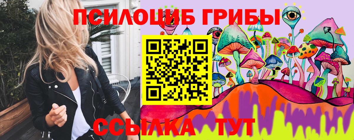 Буйнакск  Галлюциногенные грибы Cubensis  Вход с VPN 